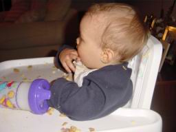 DSC01005.JPG