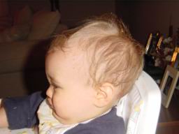 DSC01010.JPG