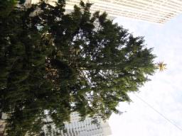DSC01034.JPG