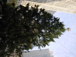 DSC01035.JPG