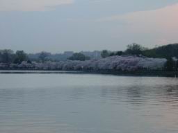 DSC00357_1024.jpg