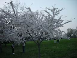 DSC00361_1024.jpg