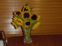 DSC01622_1024.JPG