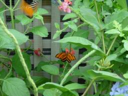 DSC01628_1024.JPG