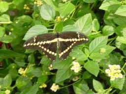 DSC01636_1024.JPG