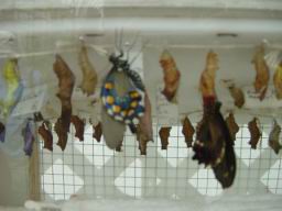 DSC01658_1024.JPG
