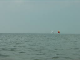 DSC05853_1024.JPG