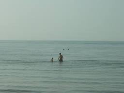 DSC05867_1024.JPG