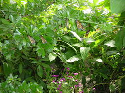 DSC05986_1024.JPG