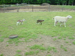 DSC07115_1024.JPG