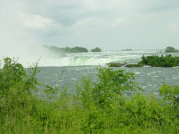 DSC00333_1024.JPG