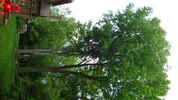 DSC03820_1280.JPG