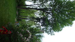 DSC03826_1280.JPG