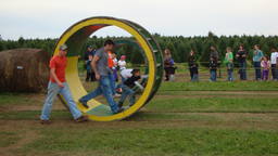 DSC07586_1280.JPG