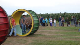 DSC07589_1280.JPG