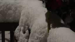 DSC07716_1280.JPG